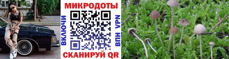 Псилоцибиновые грибы Psilocybine cubensis  Купить  Чадан 